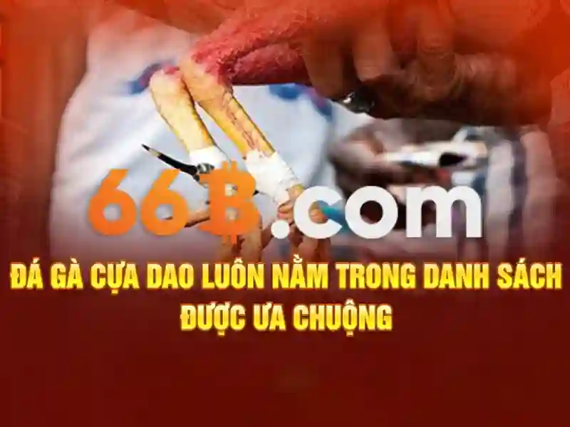 Cấu trúc và quy mô