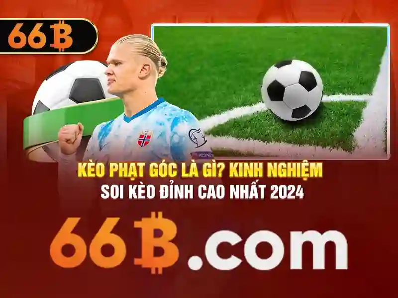 Biểu-đồ-tần-suat-xuat-hien-66b 