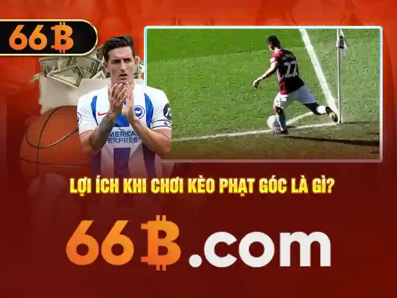 Lý do 66b thu hút sự chú ý