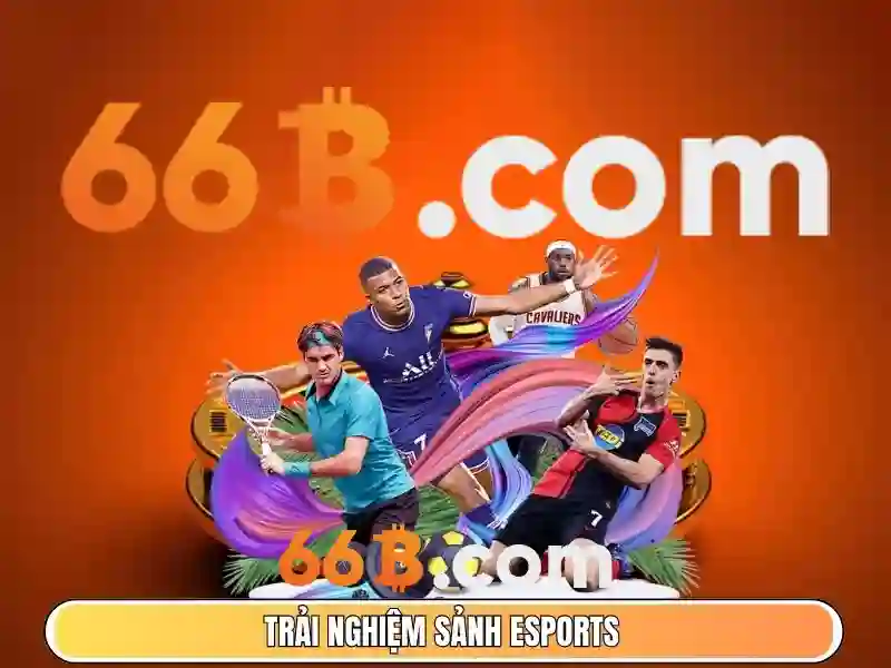 66b là gì?