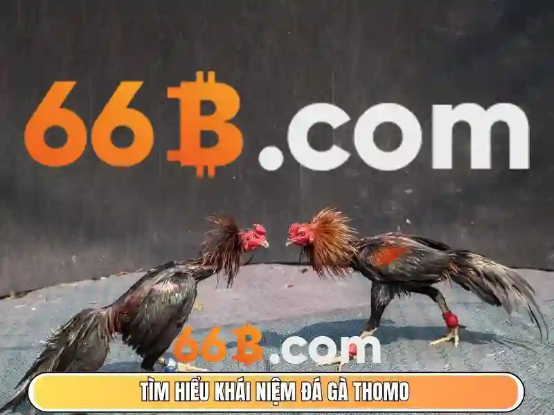 Giao diện nhà cái hoàn hảo