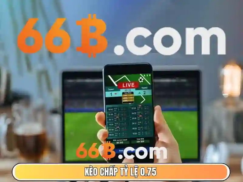 66b là gì?