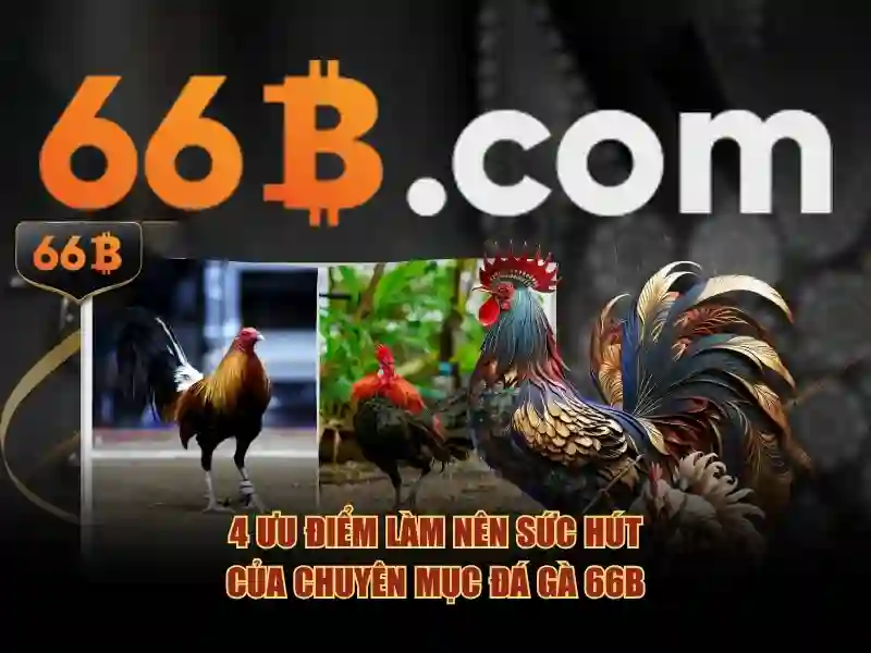 Định nghĩa và nguồn gốc của 66b
