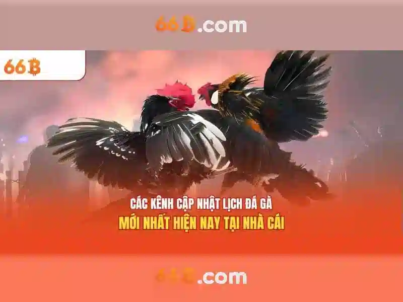 Giao diện nhà cái hoàn hảo