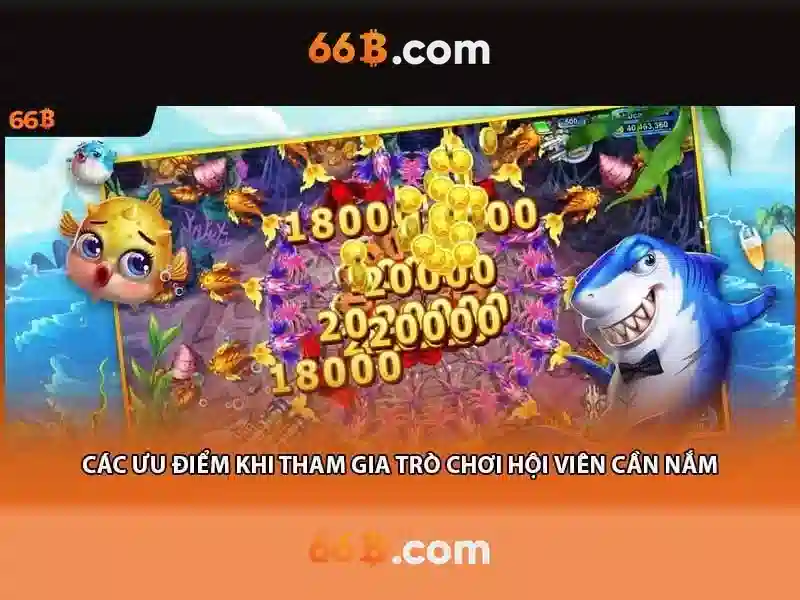 Định nghĩa và cấu trúc của 66b