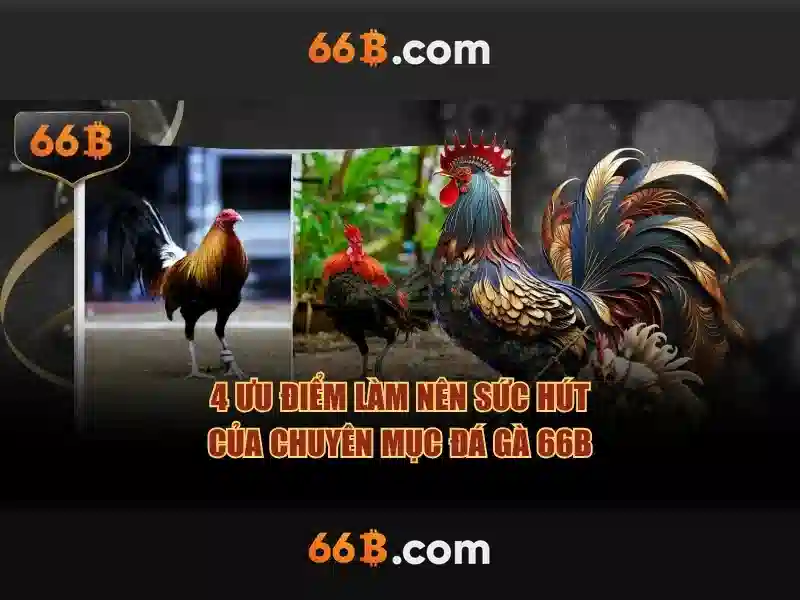 Giao diện nhà cái hoàn hảo