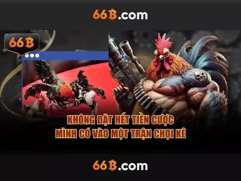 66B: một cái nhìn tổng quan
