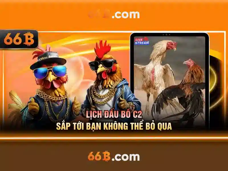 Ứng dụng và tiềm năng