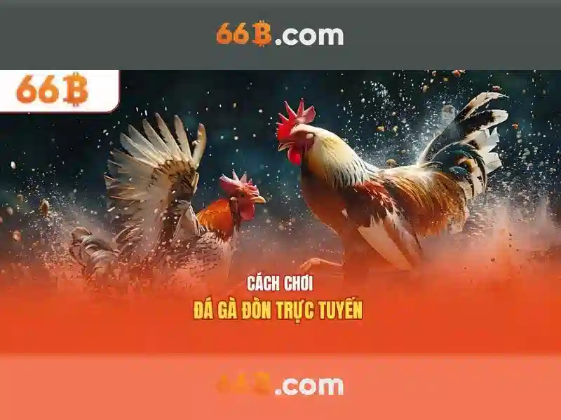 Kiến trúc và thành phần chính
