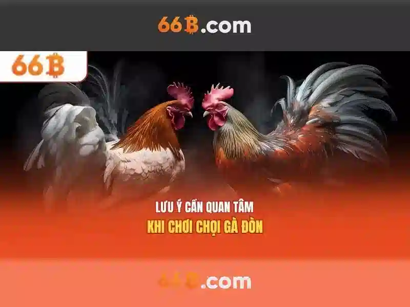 Định nghĩa 66B