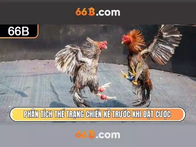 Kiến trúc và kích thước
