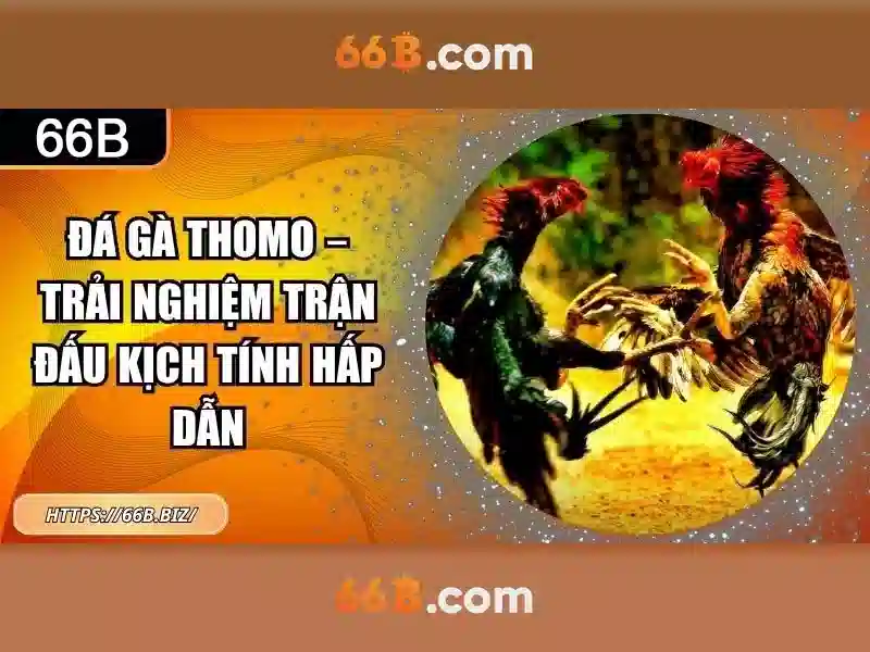 Giao diện nhà cái hoàn hảo
