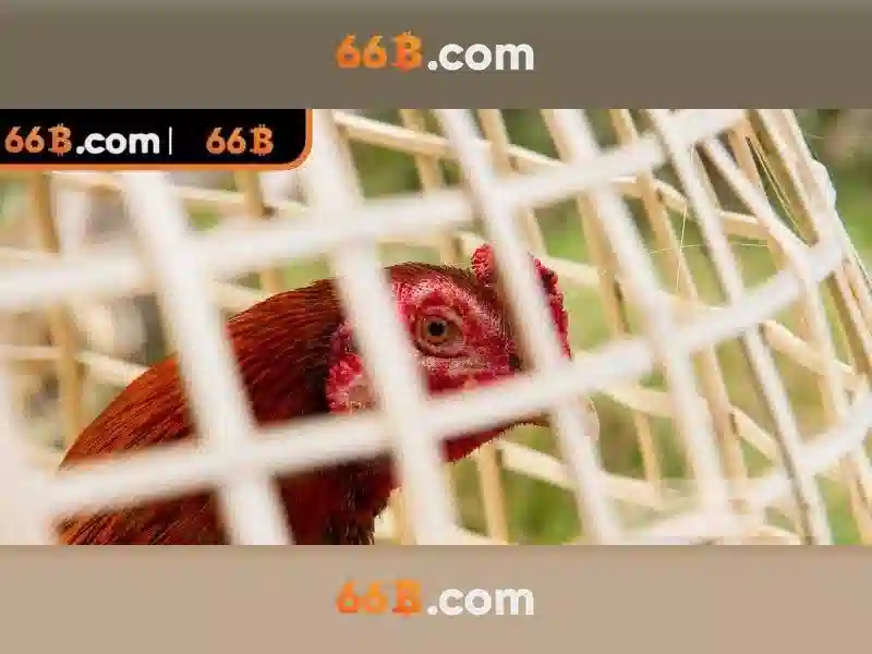 Thông số kỹ thuật của 66B