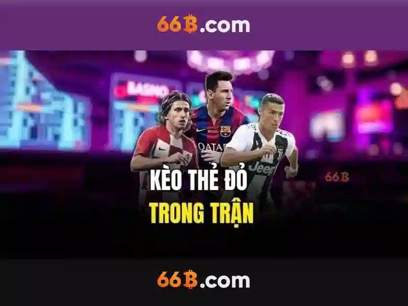 Cấu trúc và kích thước của 66b