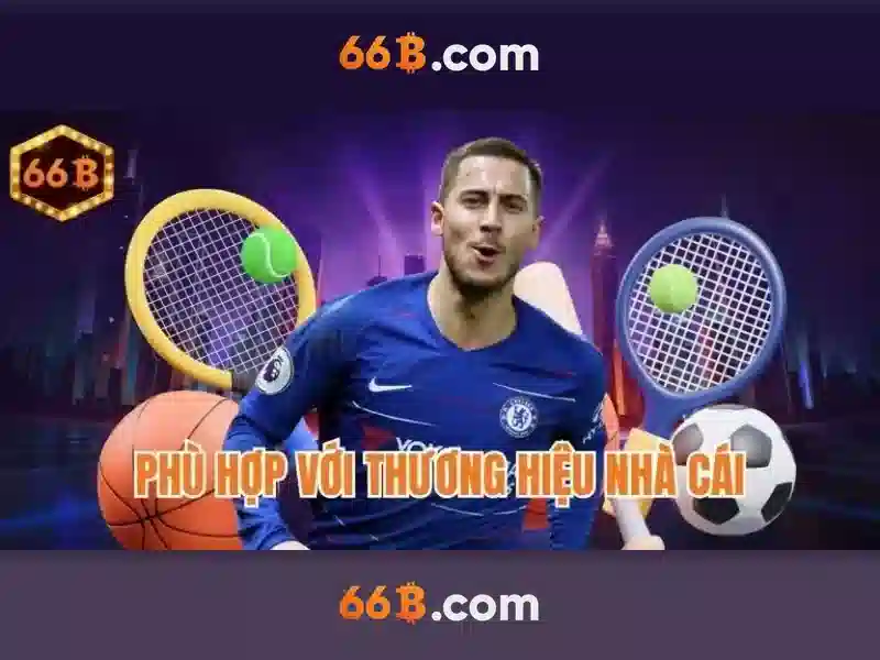 66B là gì?