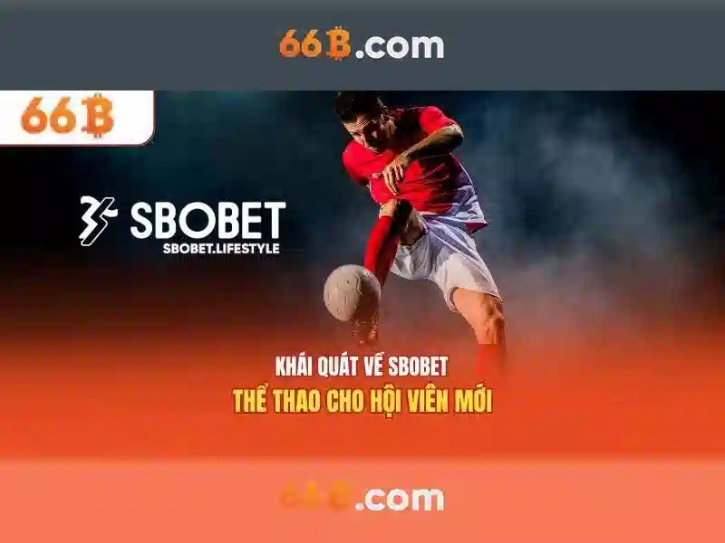 Mô hình 66B: Khái quát và ứng dụng Giao diện nhà cái hoàn hảo