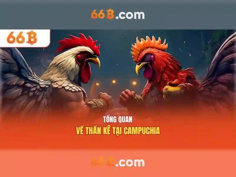 66B là gì?