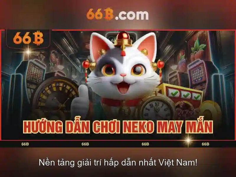 66b là gì