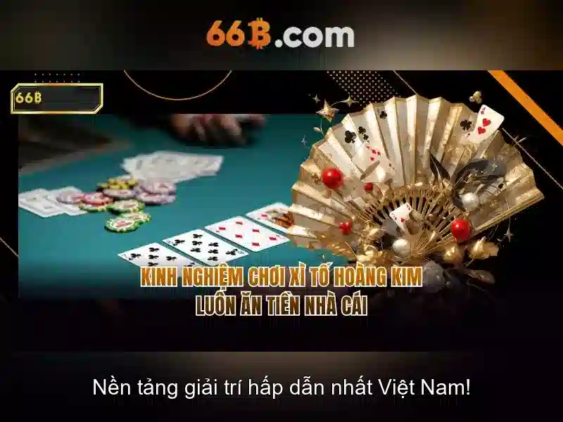66B là gì?