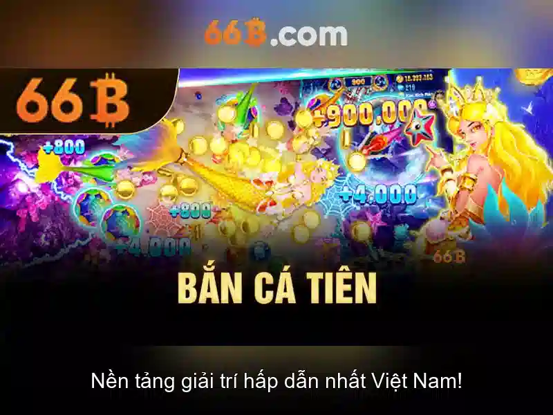 66b là gì?