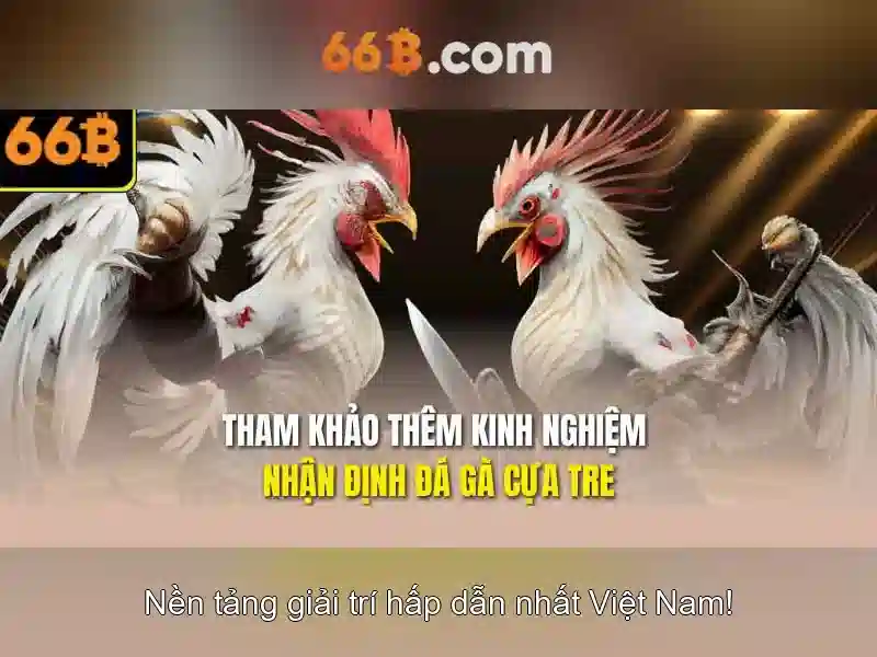 gioi-thieu-66b-2