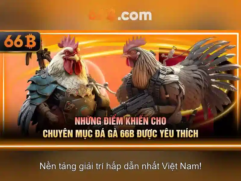 Giới thiệu về 66b