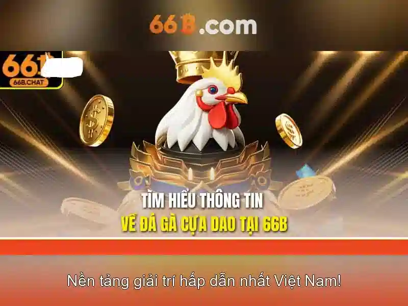Giới thiệu về 66b