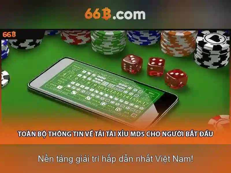 66b là gì?