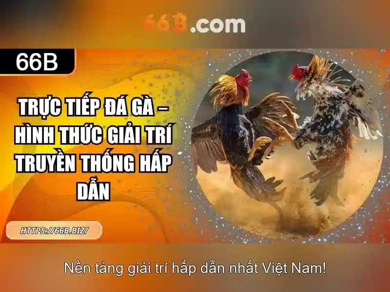 Khám phá mô hình 66B Giao diện nhà cái hoàn hảo