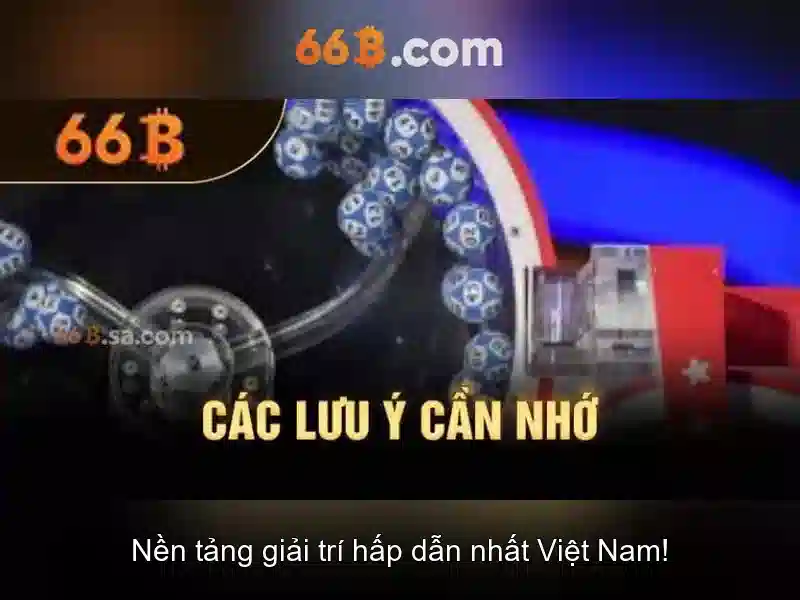 Cấu hình và quy mô