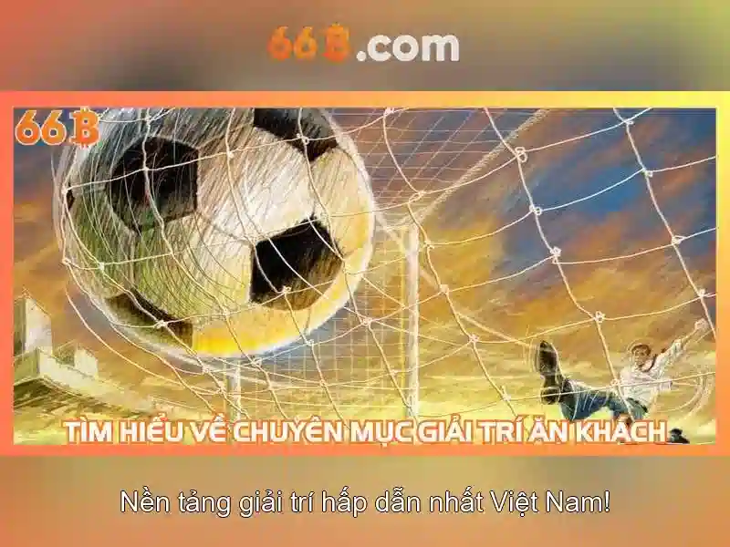 66b là gì và tại sao nó đáng chú ý