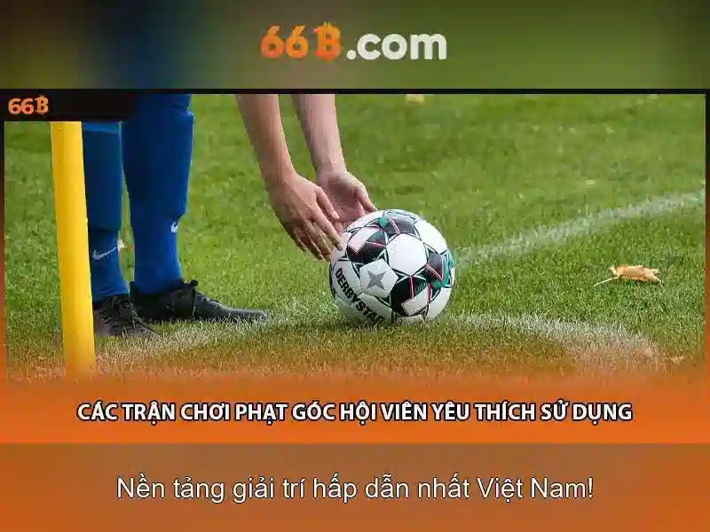 66b là gì