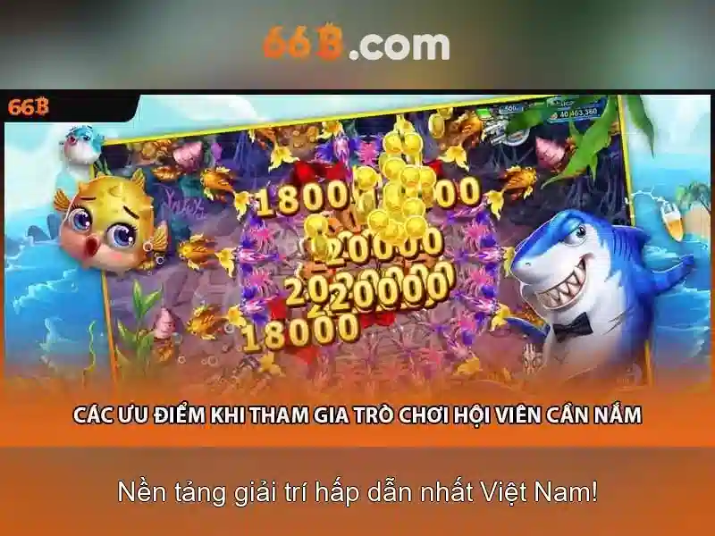 Thông số kỹ thuật và quy mô