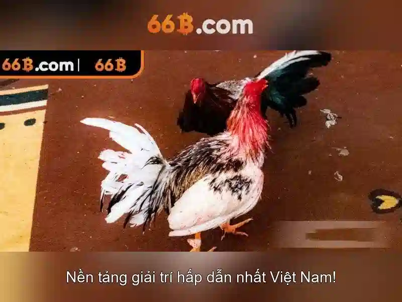 Hiệu suất và ứng dụng