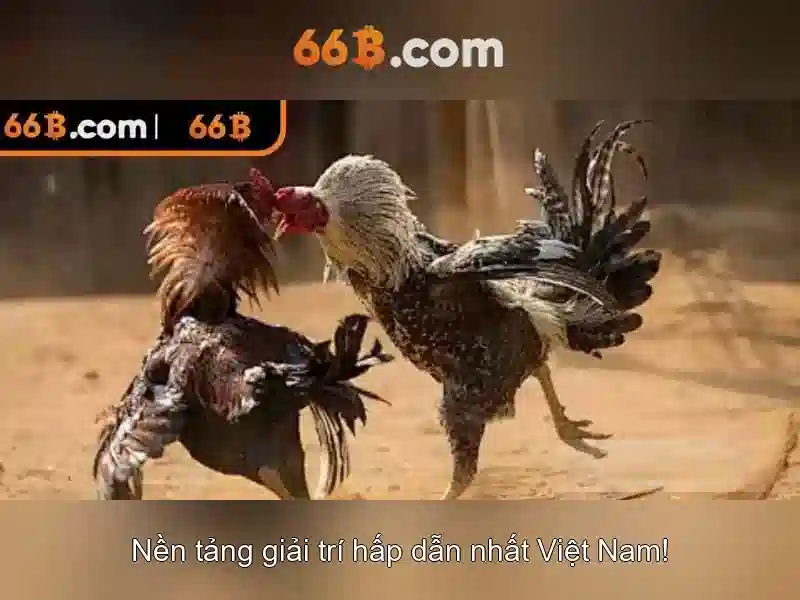 66b: Phân tích và ứng dụng Giao diện nhà cái hoàn hảo