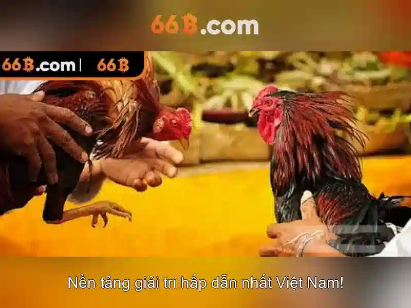 Ứng dụng thực tiễn