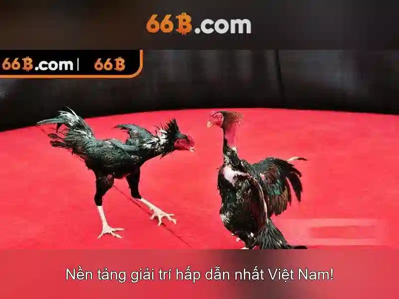 Lợi ích và thách thức khi áp dụng 66b