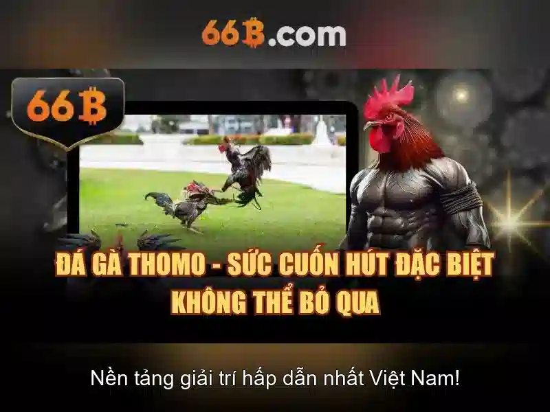 66b và hành trình khám phá