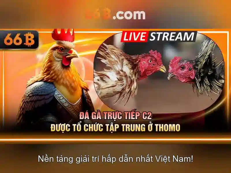 So sánh với các mô hình khác