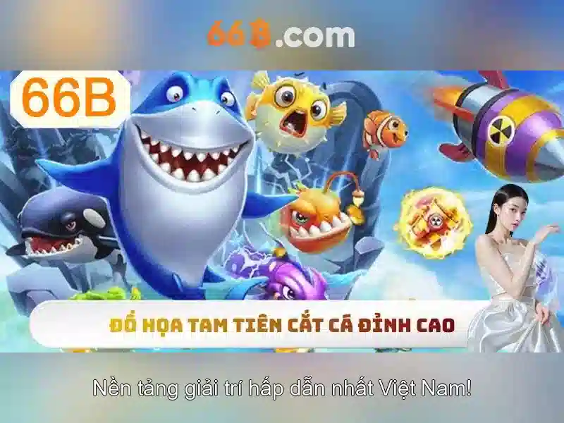66b là gì và vì sao nó quan trọng