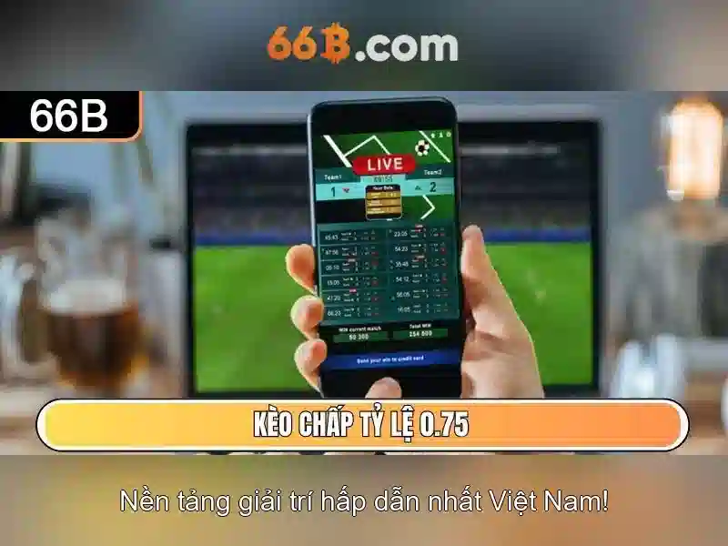 Kiến trúc và kích thước