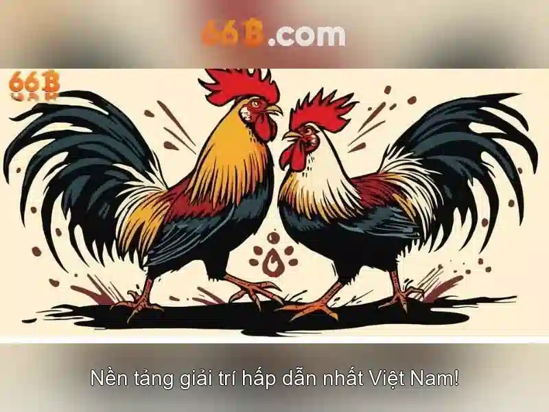 Kiến trúc và nhắm mục tiêu