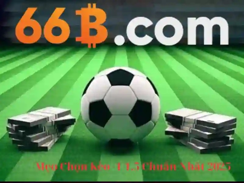 66b: Khái niệm, tham số và ứng dụng Giao diện nhà cái hoàn hảo