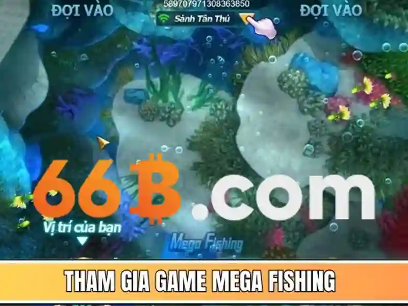 66b là gì và vì sao nó hấp dẫn
