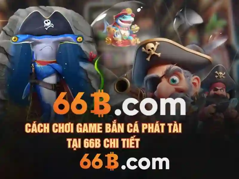 66b trong đời sống