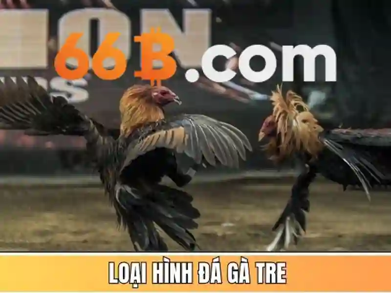 Giao diện nhà cái hoàn hảo