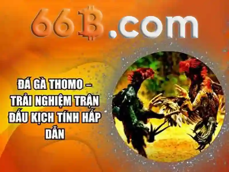 Giao diện nhà cái hoàn hảo