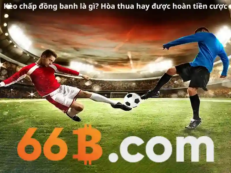 Giao diện nhà cái hoàn hảo