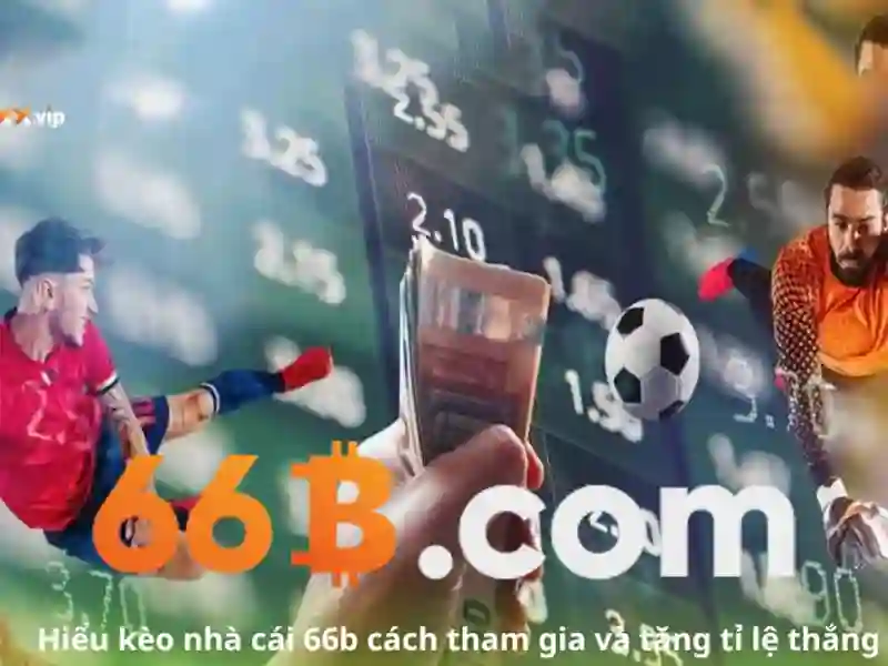 Giao diện nhà cái hoàn hảo