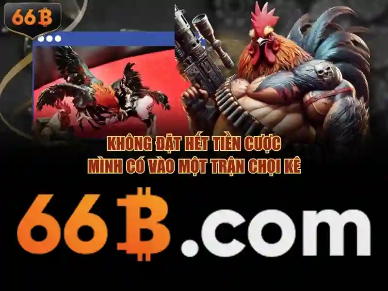Kiến trúc và khả năng
